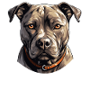 Dog American Pitbull