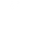 Koalabär Koala