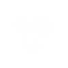 Koalabär Koala