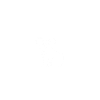 Koalabär Koala