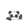 Pandabär Panda