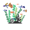 Aquaristik Aquarium Fisch Aquaristik