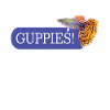 Guppies Aquarium Fish Aquatics