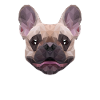 Polygon Dog Four-legged Wauwau French