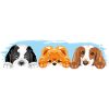 Dogs are best friends
