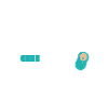 Summer 2024