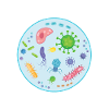 What Doesn't Kill You Mutates Funny Biology