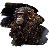 Image abstraite d’un singe