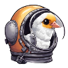 Cute bird in astronaut helmet