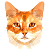 Polygon Cat