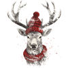Reindeer