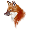 Fuchs Aquarell