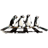 Penguins