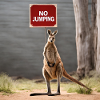 NoJumping - Kangaroo MEME