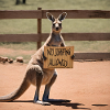Kangaroo Meme Design - Printflow