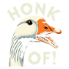 Honk Off – Geese Meme