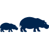 Hippos Silhouette