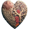 Stone heart of the sea