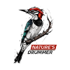 Nature's Drummer: Woodpecker