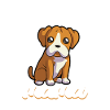 Boxer Maman - Boxeur
