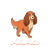Cocker Spaniel Mama - Cocker Spaniel