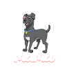 Great Dane Mom - Great Dane