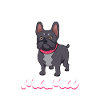 Frenchie Mama - French Bulldog