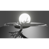 Sonne und Baum