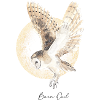 Barn owl