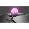 Sonne und Baum