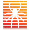 Spinnenbesitzer Spinne Spinnenzüchter