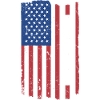 Chow Chow Us Flag