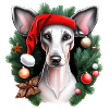 Whippet-Hund mit Weihnachtsmannmütze