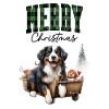 Christmas Bernese mountain dog