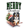 Bouvier bernois de Noël