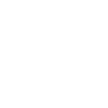 Little flutist