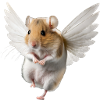 Winged hamster