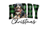 Christmas Bernese mountain dog