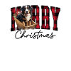 Christmas Bernese mountain dog
