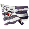 Flag I love Brittany