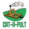 Drôle de chat