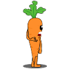 Carrot Looked Inside Carrots
