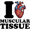 I love muscle tissue