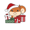 Squirrel Christmas Gift Winter Animals
