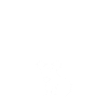 Koalabär Koala