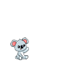 Koalabär Koala