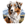 Dog Australian Shepherd