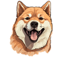 Dog Akita Inu