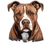 Dog American Staffordshire