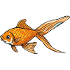 Swimming Goldfish